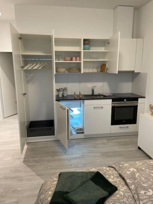 Elsau Studio In Neuem Efh מראה חיצוני תמונה