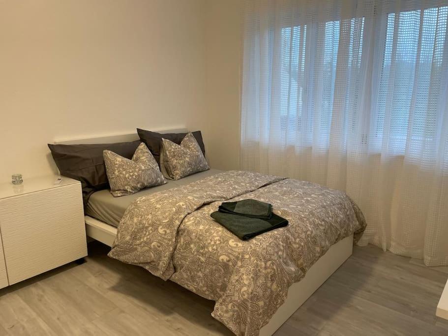 Elsau Studio In Neuem Efh מראה חיצוני תמונה